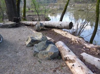 Logs along the riverbank prevent erosion